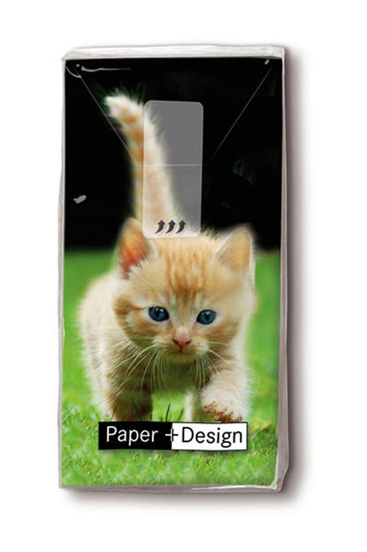 Diese witzigen Katzen Taschentuecher sorgen bestimmt fuer viel Freude. Diese Nastuecher eignen sich auch als tolle Dekoration fuer das Bad oder fuer die Wohnung. Ein witziges Geschenk oder Mitbringsel fuer jeden Anlass. Die Katzenbaby Taschentuecher kann man auch in ein Gutschein Geschenk verwandeln. Ideal fuer Katzenliebhaber