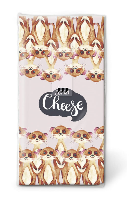 Diese Erdmaennchen Nastuecher eignen sich auch als tolle Dekoration fuer das Bad oder fuer die Wohnung. Ein Geschenk oder Mitbringsel fuer jeden Anlass. Die Taschentuecher kann man auch in ein Gutschein Geschenk verwandeln. Mit dem Spruch: Just say cheese.