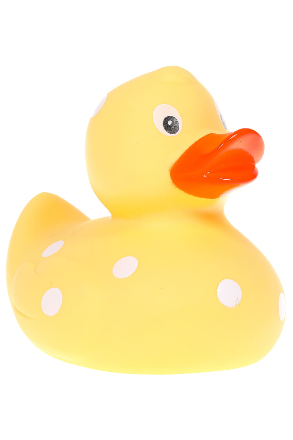 Diese herzige Badeente in der Farbe gelb hat weisse Punkte auf ihrem Entenkleid. Die Badeente ist in der Standartgroesse von 8 cm. Jetzt bei Geschenk Insel.