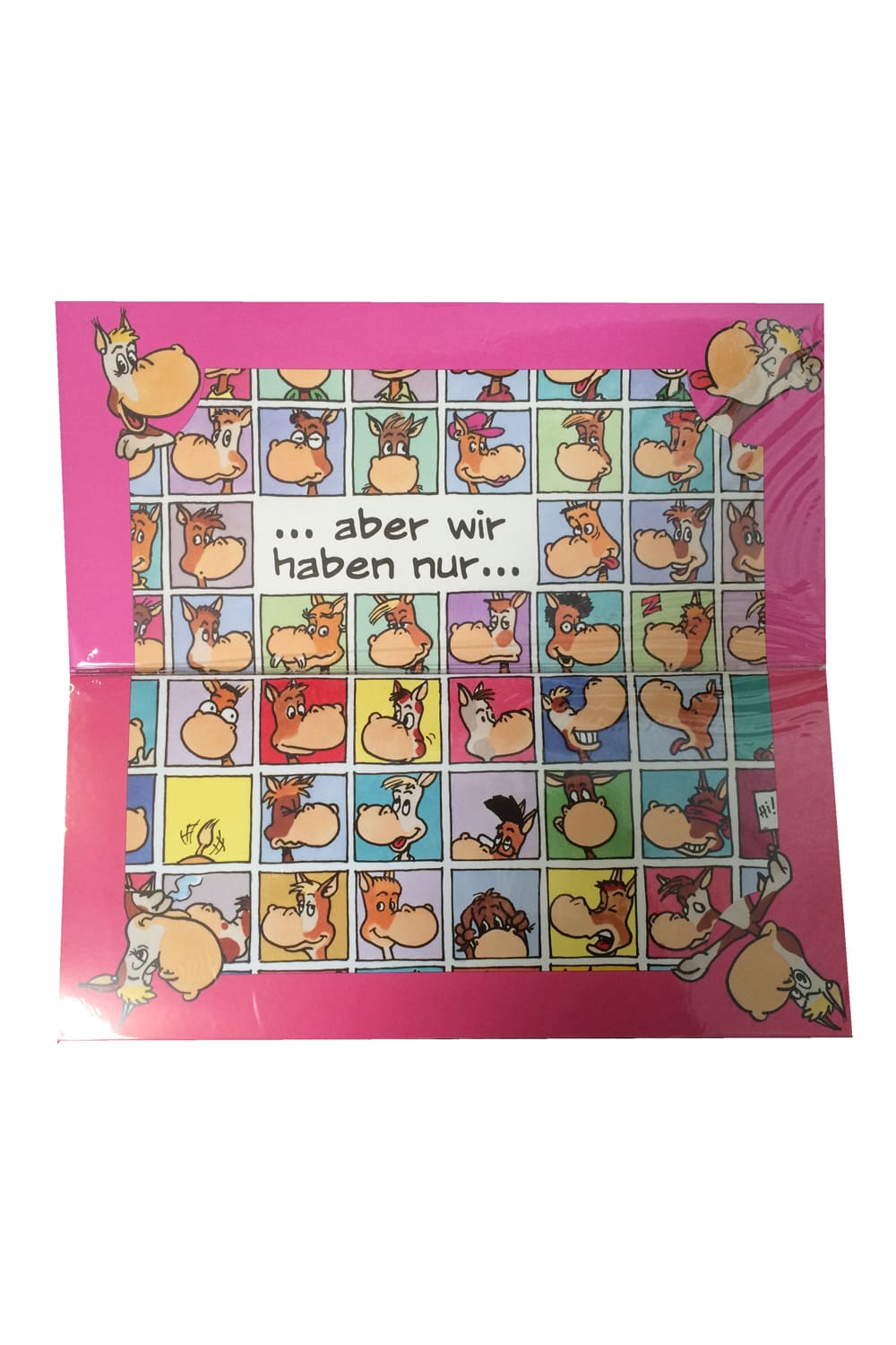 Tausende Menschen Glueckwunschkarte A3 mit Sprüche und diversen Esel. Tolle Geburtstagskarte. Aber wir haben nur an dich gedacht. Happy Birthday.